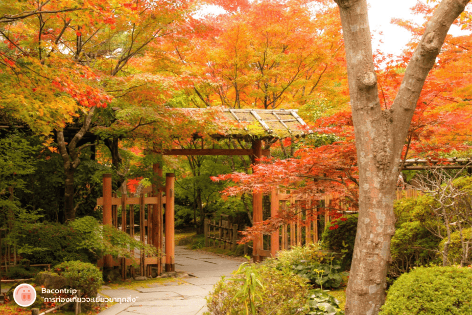 ปราสาทเซนได ใบไม้เปลี่ยนสี ญี่ปุ่น